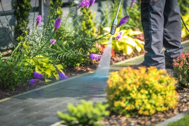 Best Driveway Pressure Washing  in Jonesville, VA